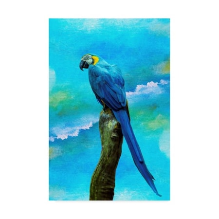 Ata Alishahi 'Blue Parrot' Canvas Art,22x32